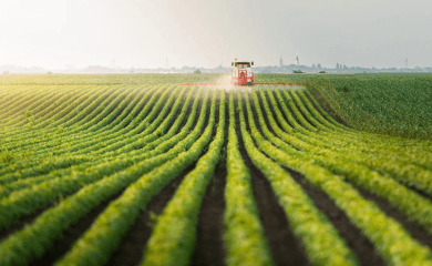 Organic Farming